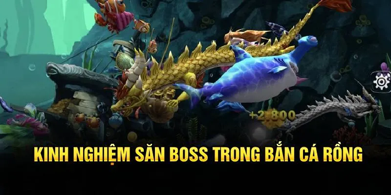 Kinh nghiệm săn boss trong bắn cá rồng